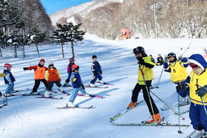 充実したイベント・カリキュラム