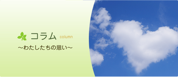 サリーのカゴ アンの箱 フロンティアキッズ