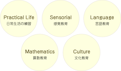 日常生活の練習/感覚教育/言語教育/算数教育/文化教育