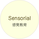 感覚教育