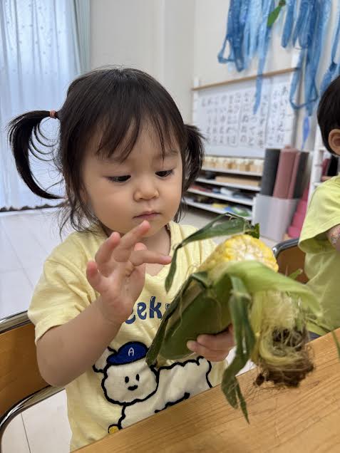 フロンティアキッズ ブログ記事 【市ヶ谷】とうもろこしの皮むき【食育】のイメージサムネイル画像