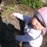 DSCF6585