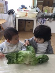 5月の様子
