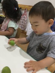 フロンティアキッズ ブログ記事 梅シロップを漬けました！のイメージサムネイル画像