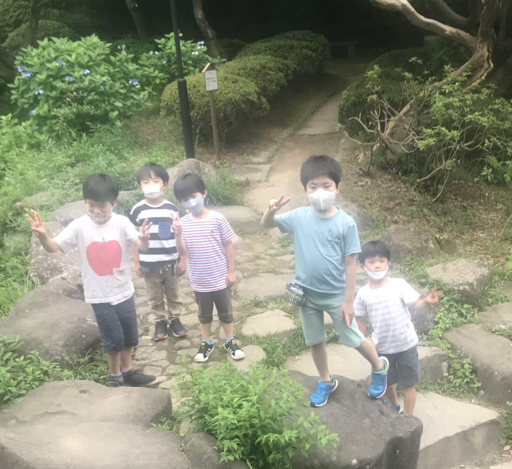 保護中: 7月NL