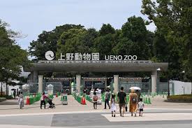フロンティアキッズ ブログ記事 上野動物園遠足についてのイメージサムネイル画像