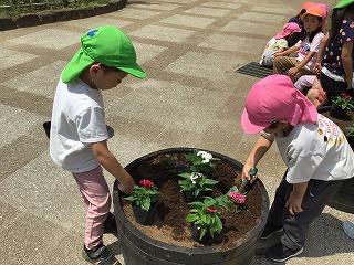 フロンティアキッズ ブログ記事 🌸花の植え替え🌸のイメージサムネイル画像