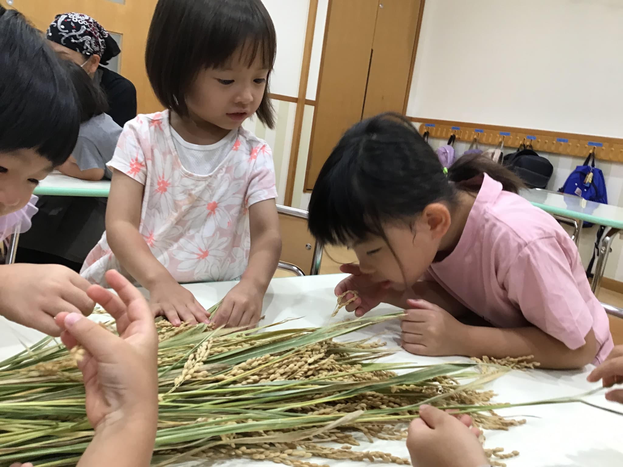 フロンティアキッズ ブログ記事 脱穀のお仕事＆おにぎり作りをしました🍙のイメージサムネイル画像