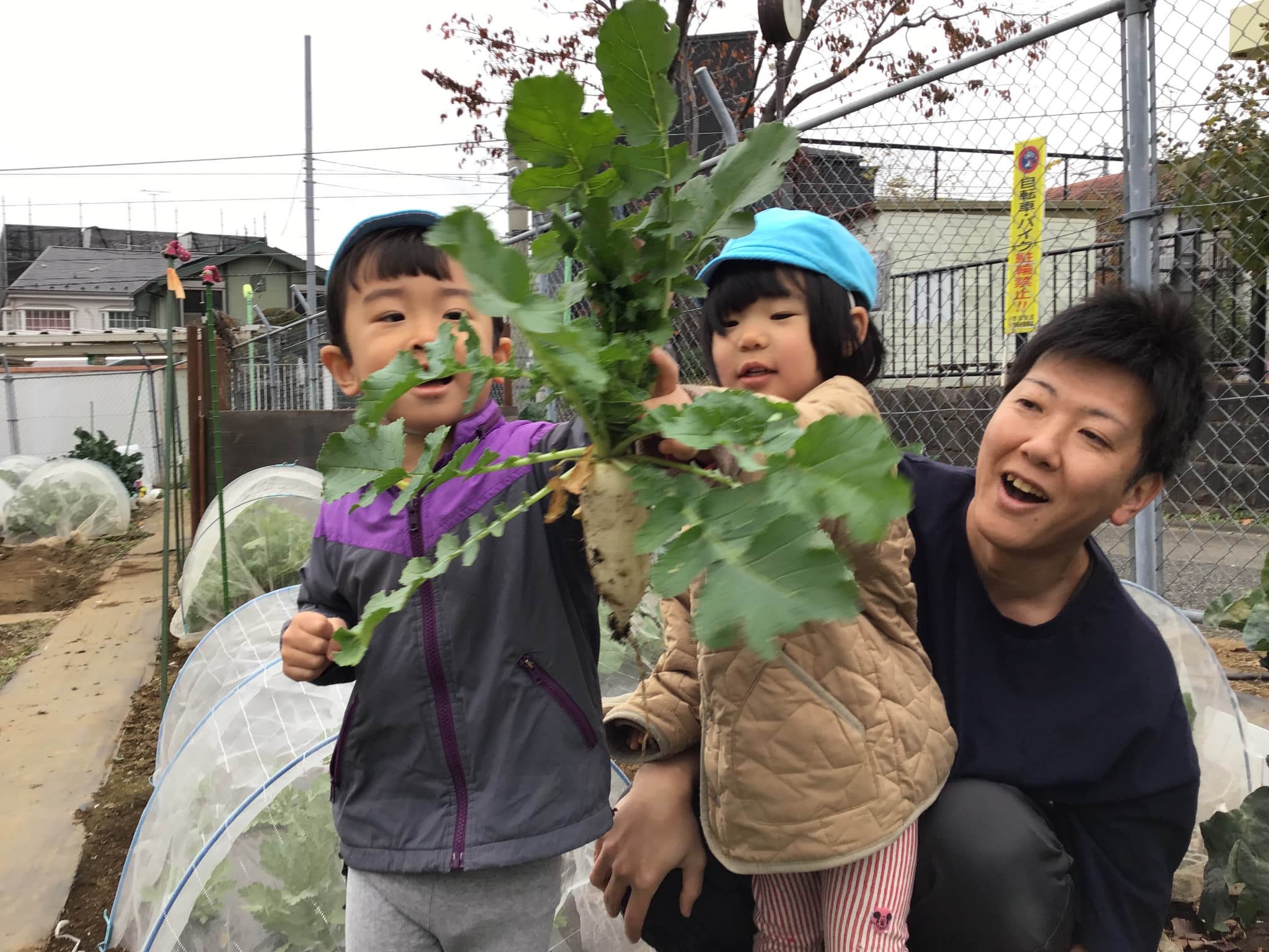 フロンティアキッズ ブログ記事 畑の野菜を収穫しました🥬のイメージサムネイル画像