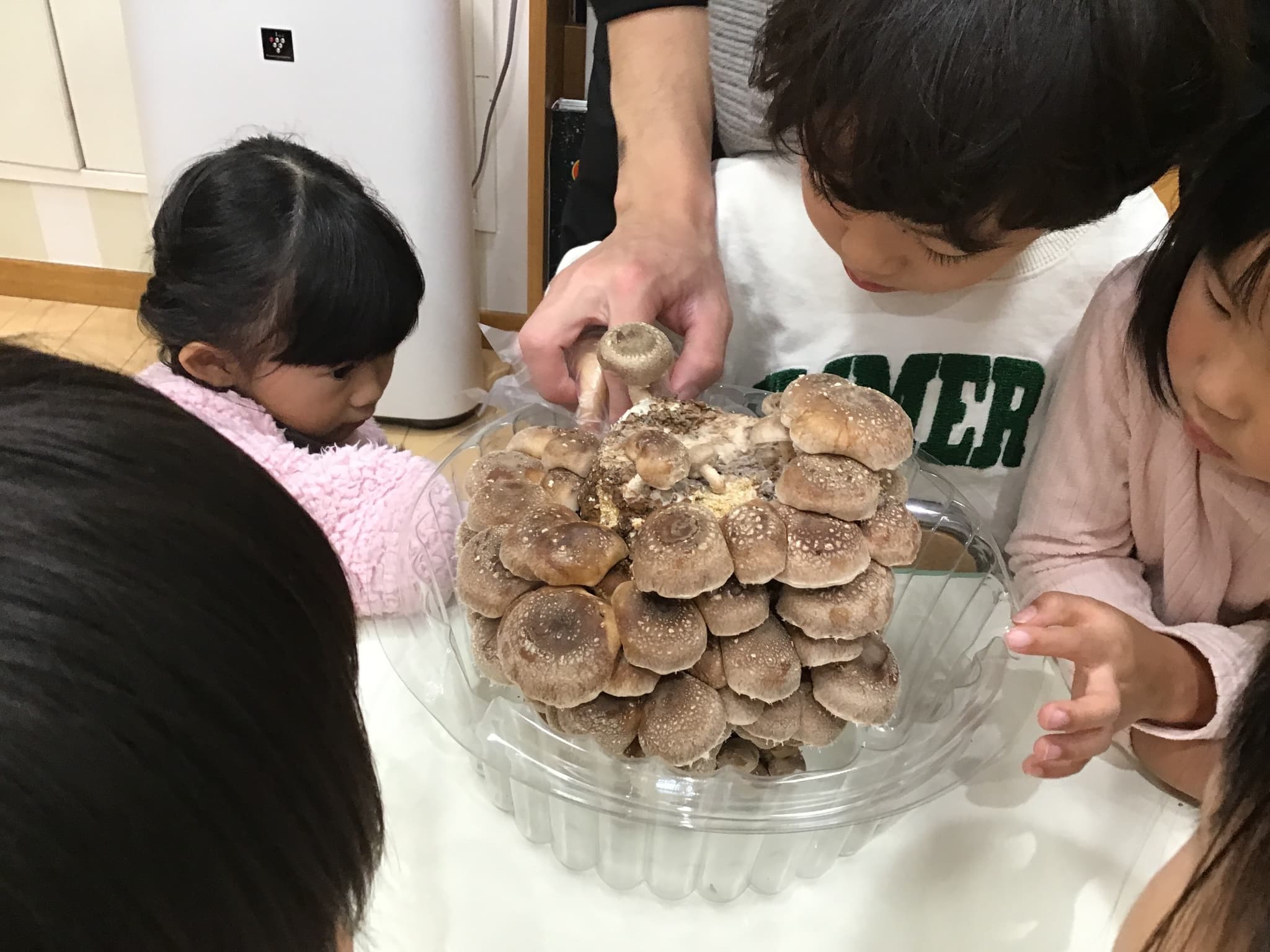 アクティブラーニング『きのこ』その①