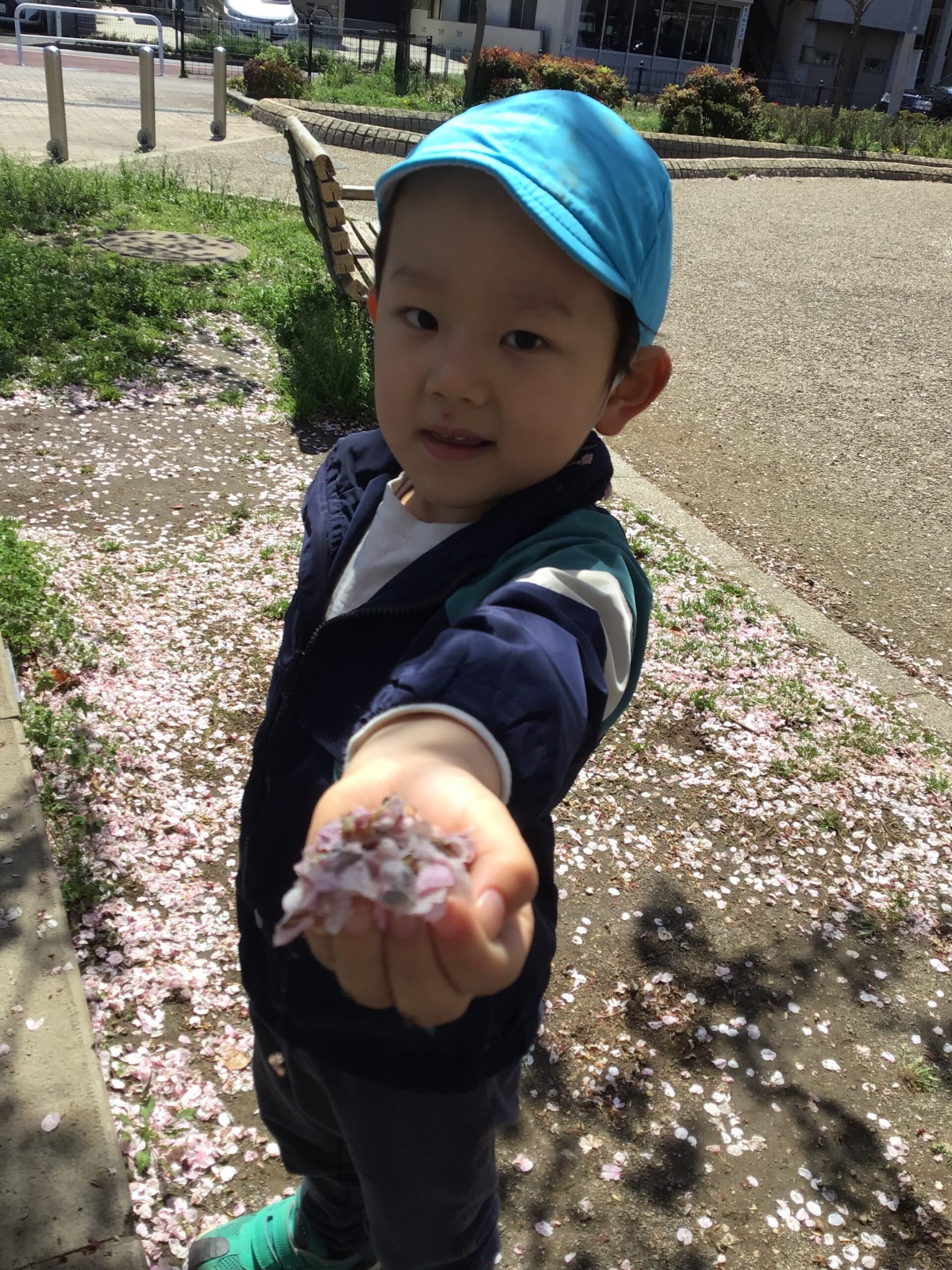 フロンティアキッズ ブログ記事 小泉公園へ桜を見に行きました🌸のイメージサムネイル画像