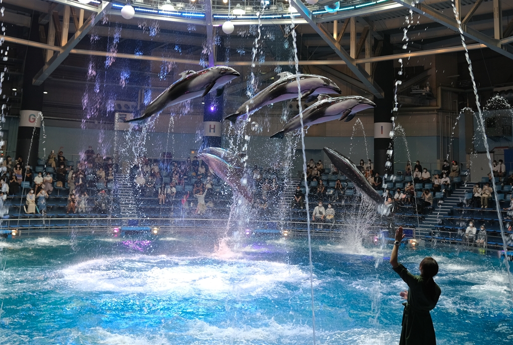しながわ水族館遠足につきましてのお知らせ