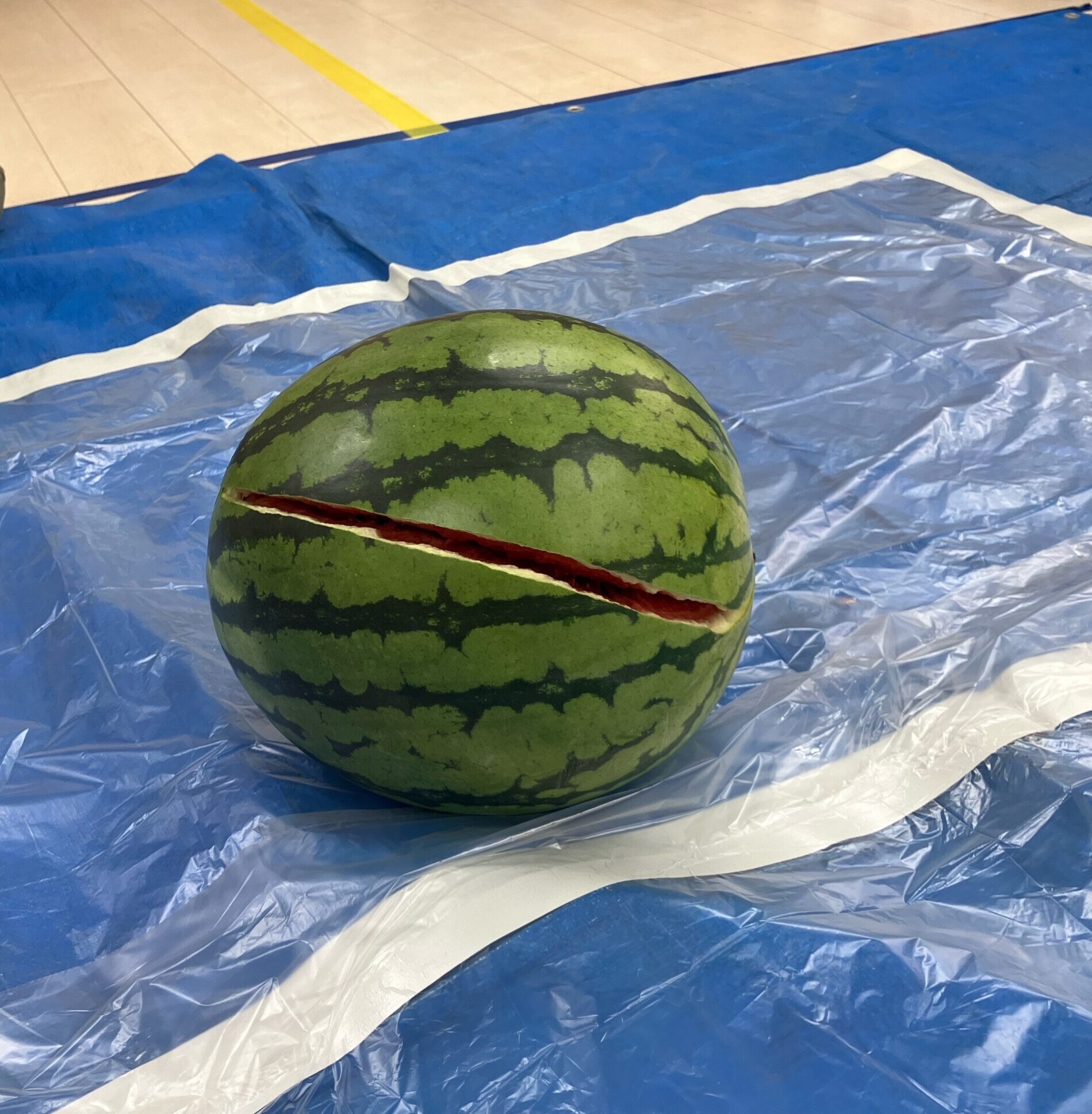 フロンティアキッズ ブログ記事 サマーイベント(マジックボックス！？・スイカ割り🍉)のイメージサムネイル画像