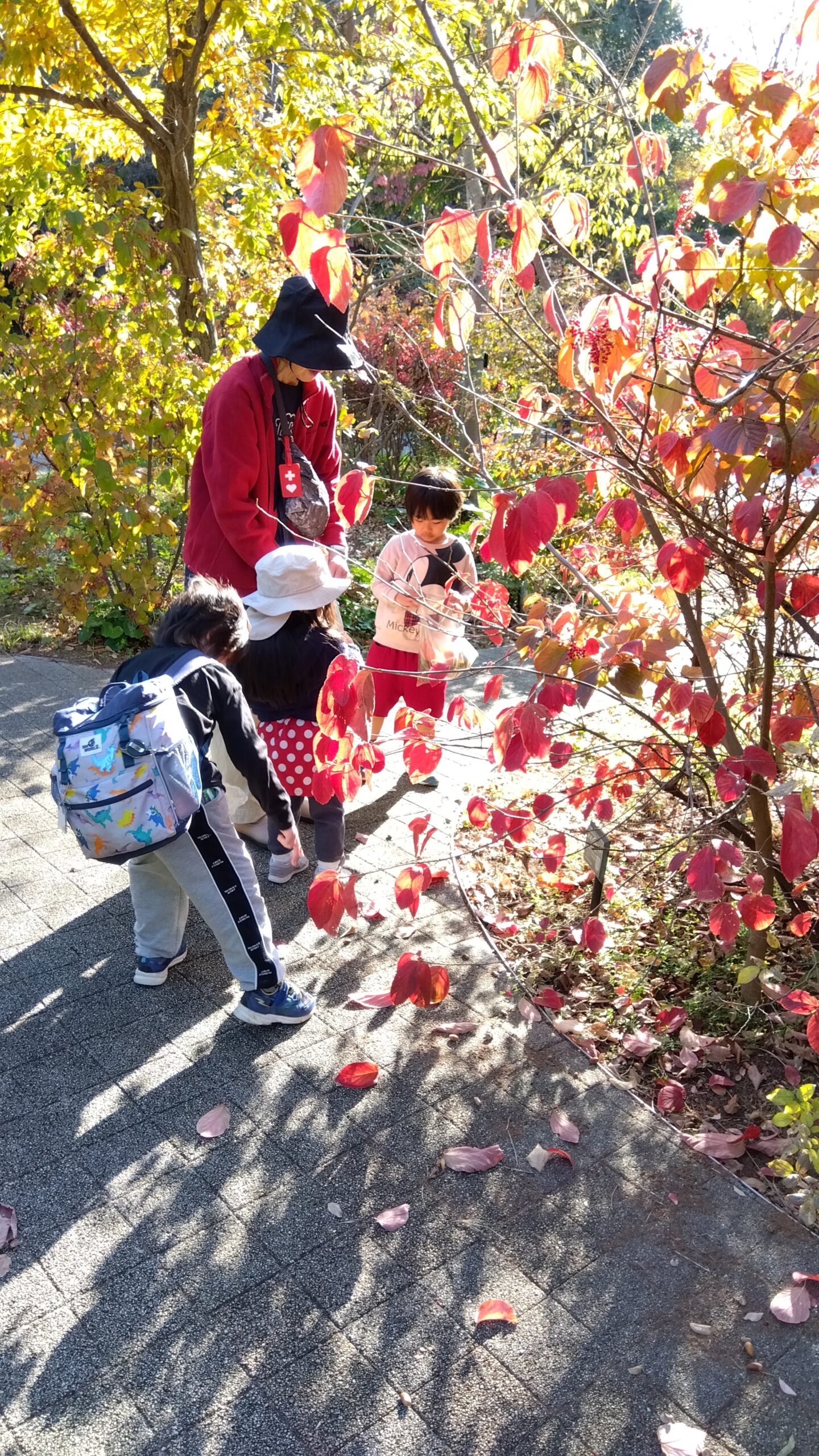 フロンティアキッズ ブログ記事 秋さがしのイメージサムネイル画像