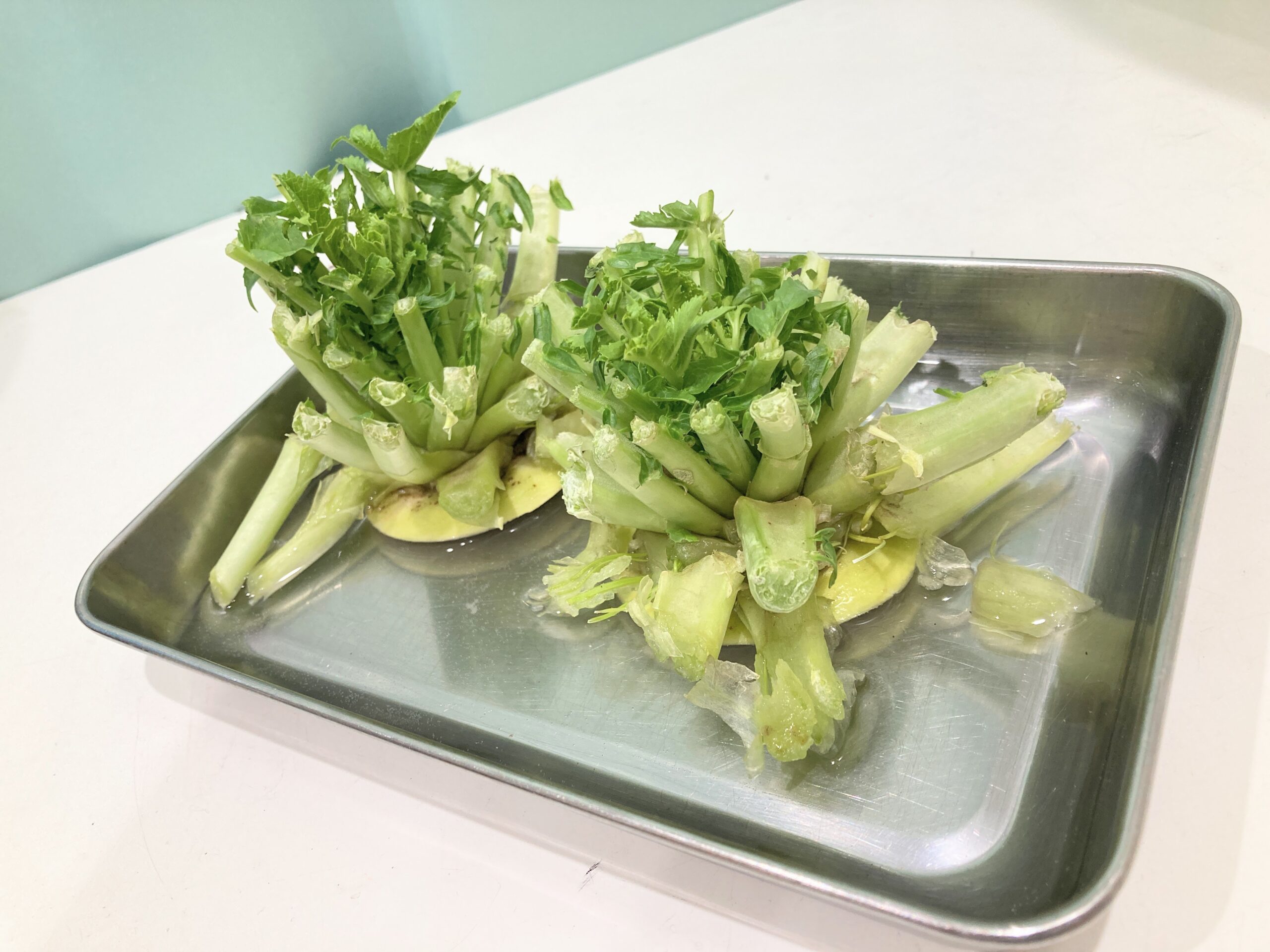 フロンティアキッズ ブログ記事 大根のふりかけづくり！のイメージサムネイル画像