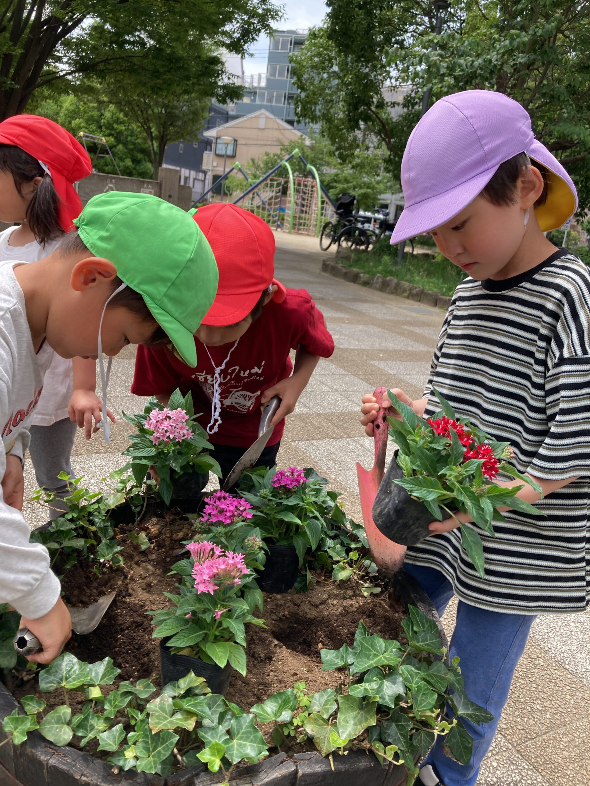 フロンティアキッズ ブログ記事 🌷花の植え替えボランティア🌷のイメージサムネイル画像