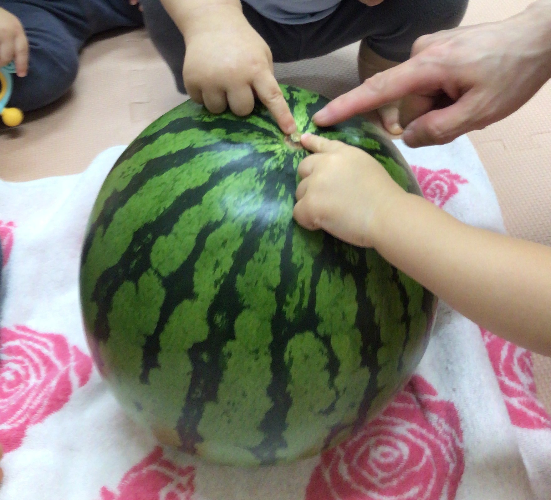 フロンティアキッズ ブログ記事 夏の遊び～スイカ割り🍉～のイメージサムネイル画像