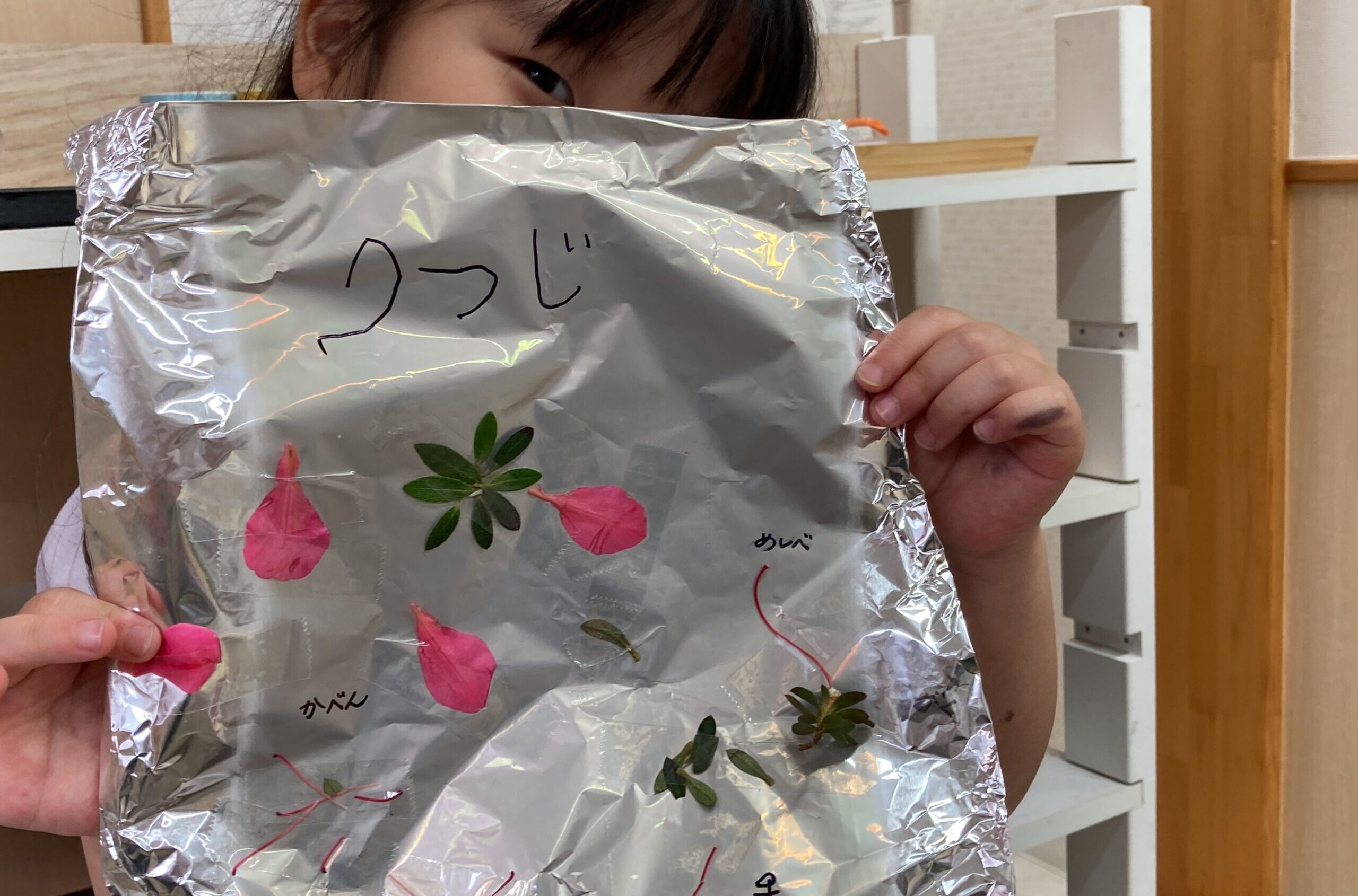 フロンティアキッズ ブログ記事 花の解体のイメージサムネイル画像