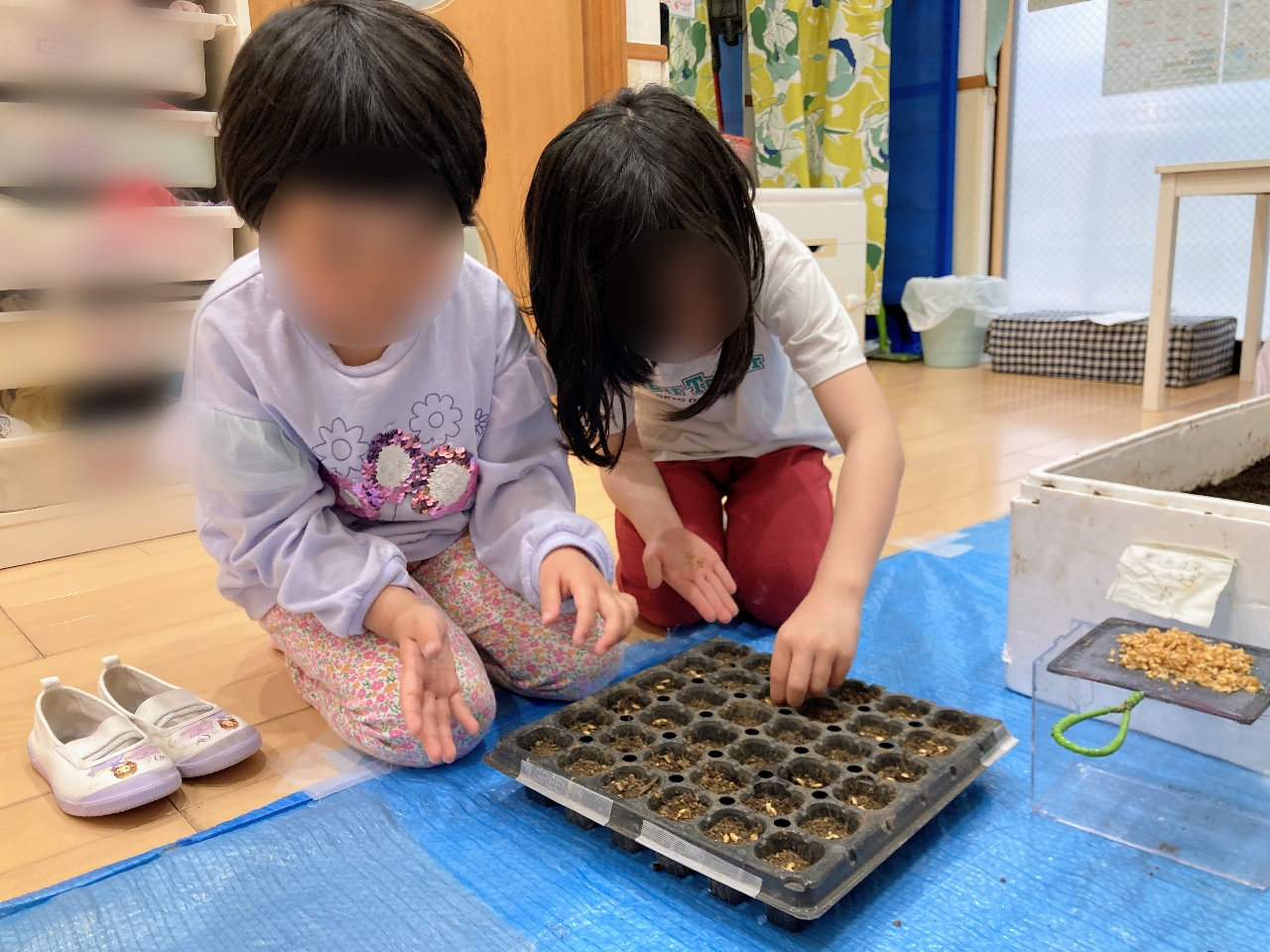 フロンティアキッズ ブログ記事 今年もお米作りが始動しました!のイメージサムネイル画像